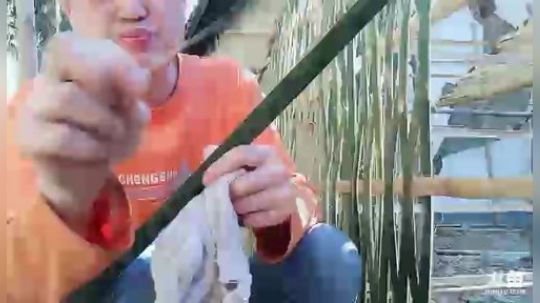 635952新主播求支持！求帮忙点个关注 2018-12-05 13点场