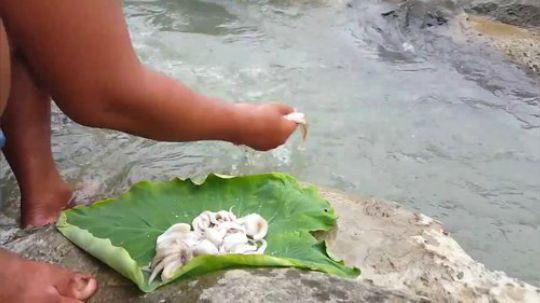 【荒野虫哥】男人的浪漫!在湍急的河水旁吃八爪鱼!