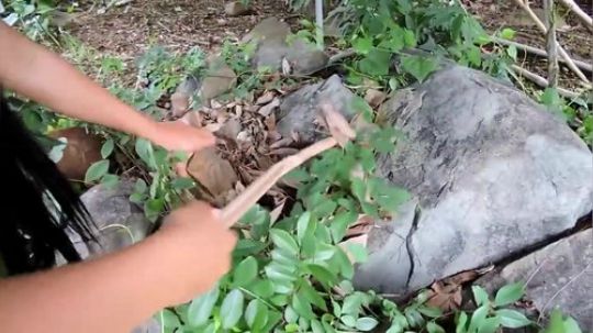 【荒野二嫂】抓条大蜈蚣！午饭就吃它了！