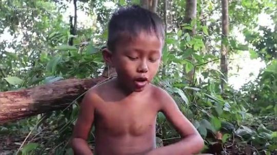 【荒野戏精】~小可怜你这是吃睡着了吗？哈哈哈哈~