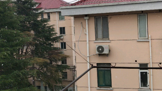 上海终于下雪啦