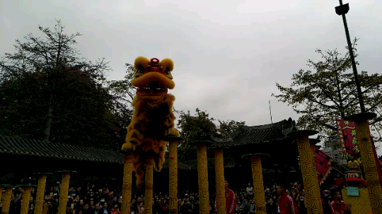 祖庙厉害的舞狮子