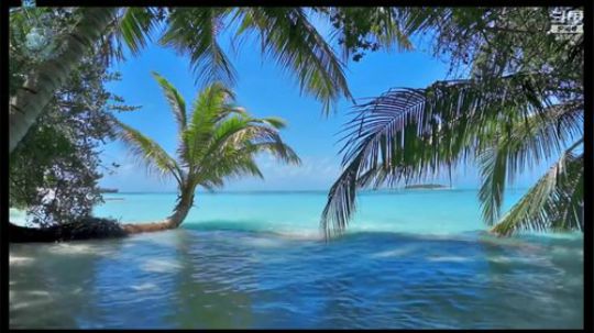 我本善良72发布了一个斗鱼视频2018-12-09