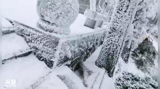 看雪