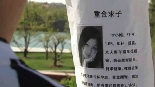 国产神剧《毛骗》，富婆重金求子，原来是这样的骗局？