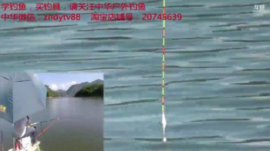 几日未见，甚是想念 2018-12-10 03点场
