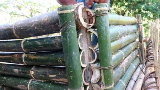 越南小哥的竹子小屋【第二集】