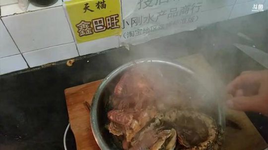 Hello晨哥发布了一个斗鱼视频2018-12-12