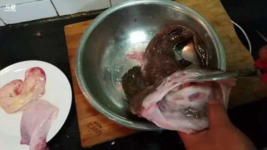 我本善良72发布了一个斗鱼视频2018-12-12