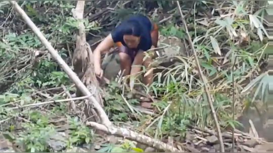 【荒野美食】这种蜥蜴在野外可是难得的美味！