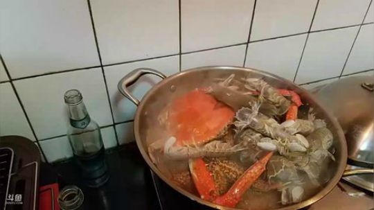 Hello晨哥发布了一个斗鱼视频2018-12-12