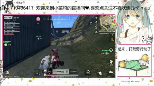 请问这是小菜鸡的直播间吗？ 2018-12-12 23点场