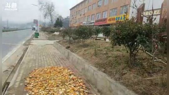 我在斗鱼看超哥户外打野直播户外