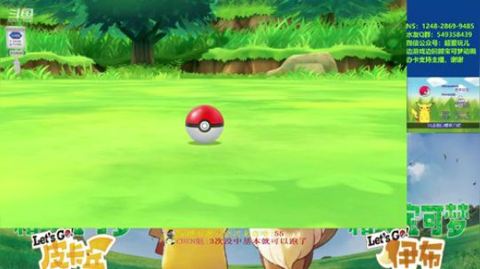 精灵宝可梦 ns switch 2018-12-15 21点场