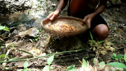 【荒野小妹妹】 炸蚕蛹，真香！