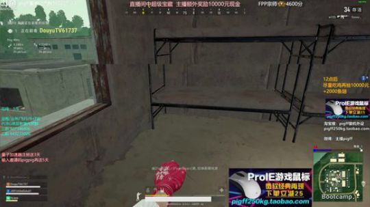 我在斗鱼看pigff直播吃鸡游戏