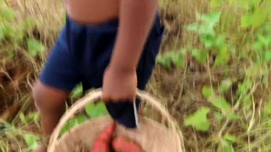 【荒野戏精】挖到了很多的红薯！放到瓦罐里煮了