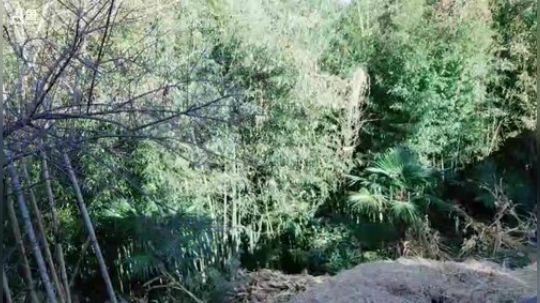 上山做饭饭(≧ω≦)/ 2018-12-18 14点场