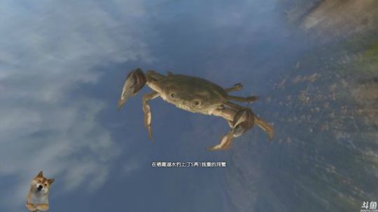 为1000关注努力加油中 2018-12-17 17点场