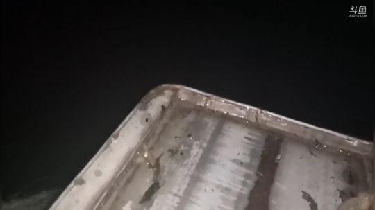 我本善良72发布了一个斗鱼视频2018-12-20