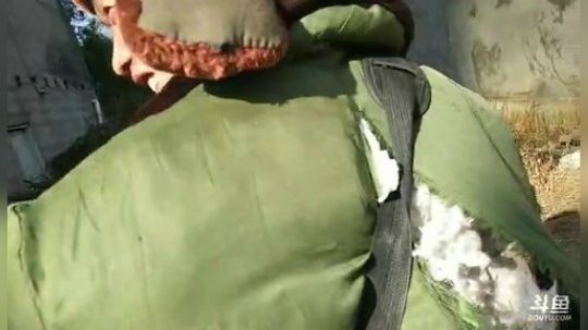 4裤全输发布了一个斗鱼视频2018-12-20