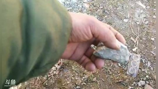 4裤全输发布了一个斗鱼视频2018-12-20