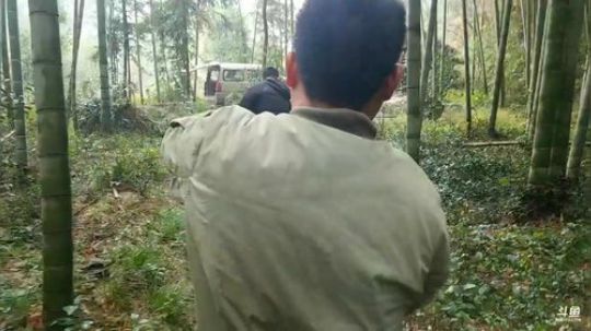 挖竹笋给大家抽奖。 2018-12-21 12点场