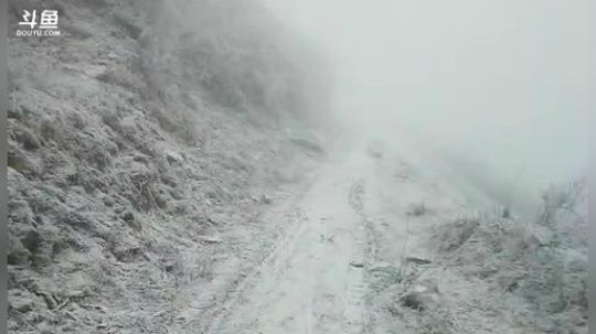 我在斗鱼看黑哥户外直播户外