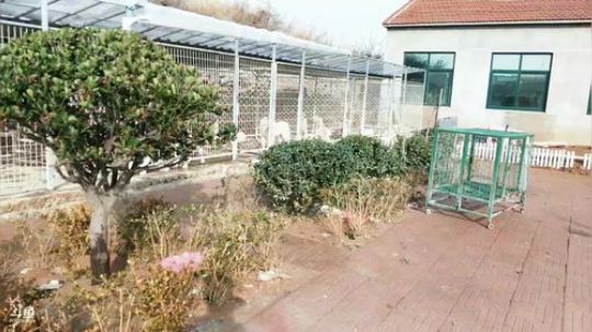 HHHISHHH发布了一个斗鱼视频2018-12-22