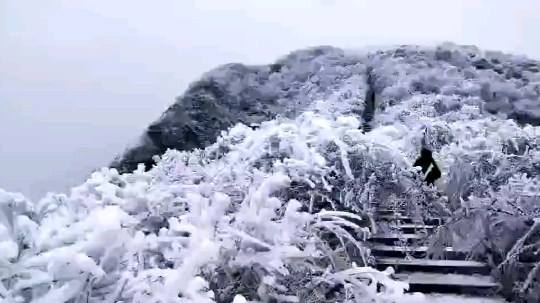 熊山雪景！！瞧瞧！！