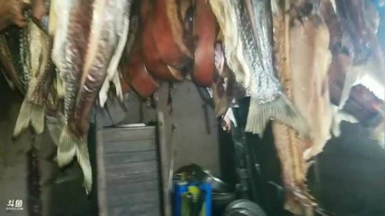 今天来个烤乳猪！ 2018-12-22 10点场