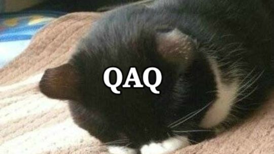 qaq