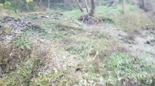 美食:腊排骨清蒸石斑 2018-12-23 16点场