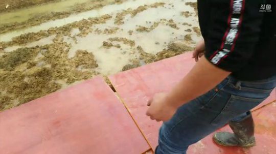 搭建农场！ 2018-12-23 10点场