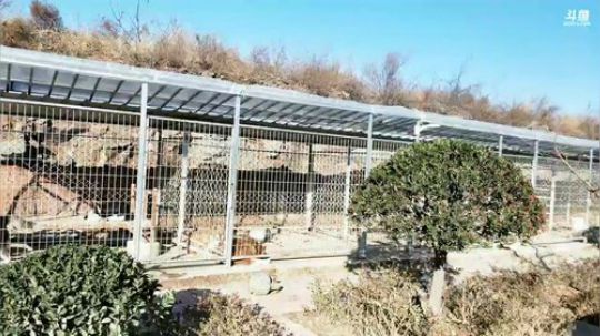 HHHISHHH发布了一个斗鱼视频2018-12-24