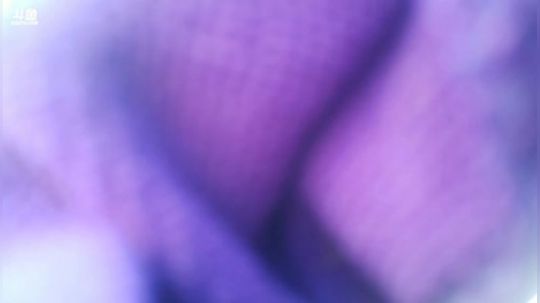 我在斗鱼看主播小黑亮亮直播美食
