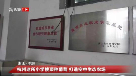 杭州这所小学楼顶种葡萄 打造空中生态农场 2018-12-25 12点场