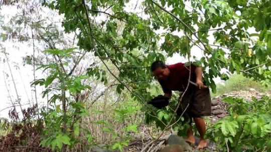 【荒野二嫂】辣炒蚂蚁！嫂嫂真会吃