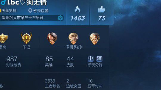 微信星耀王者五排养猪