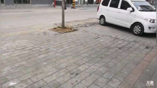 龙马精神之神笔马龙发布了一个斗鱼视频2018-12-26
