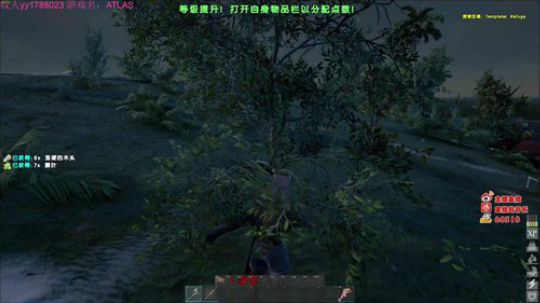 海贼王一样的男人！ 2018-12-27 17点场