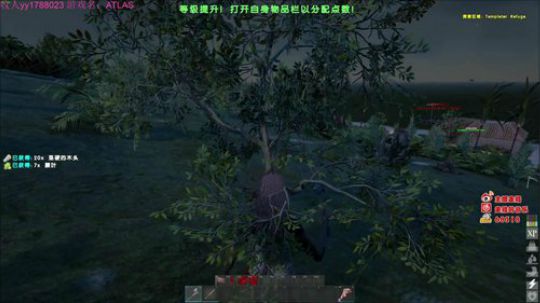 海贼王一样的男人！ 2018-12-27 17点场