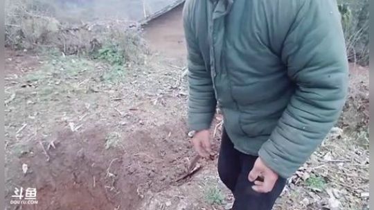 狗强的兵马俑计划我赌它永远都是一个大坑