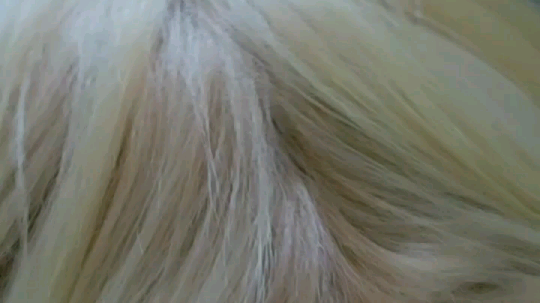 美男子