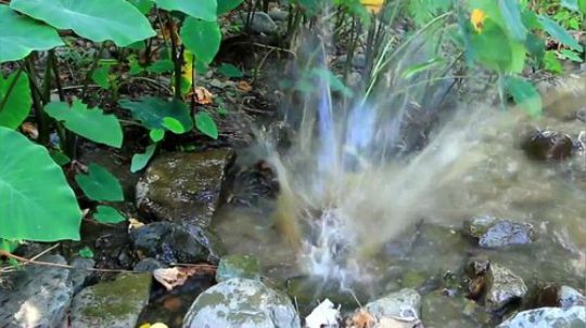 【荒野二嫂】瓦罐蛤蟆汤，给你不一样的滋补！