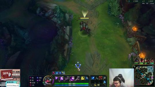 我在斗鱼看东北大鹌鹑直播英雄联盟