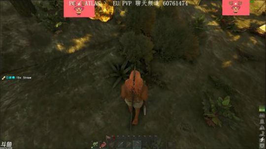 【豆腐】有家了 2018-12-30 01点场