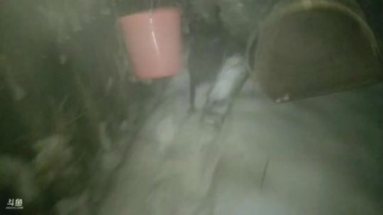 下雪抓鱼啦， 2018-12-30 19点场