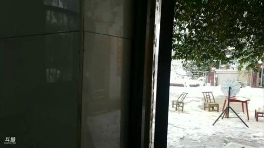 下雪了大家躁动起来。 2018-12-30 15点场