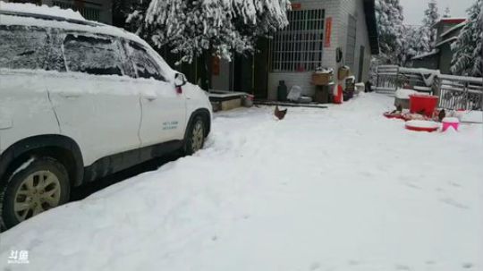 干了这个塘！ 468241 2018-12-30 09点场